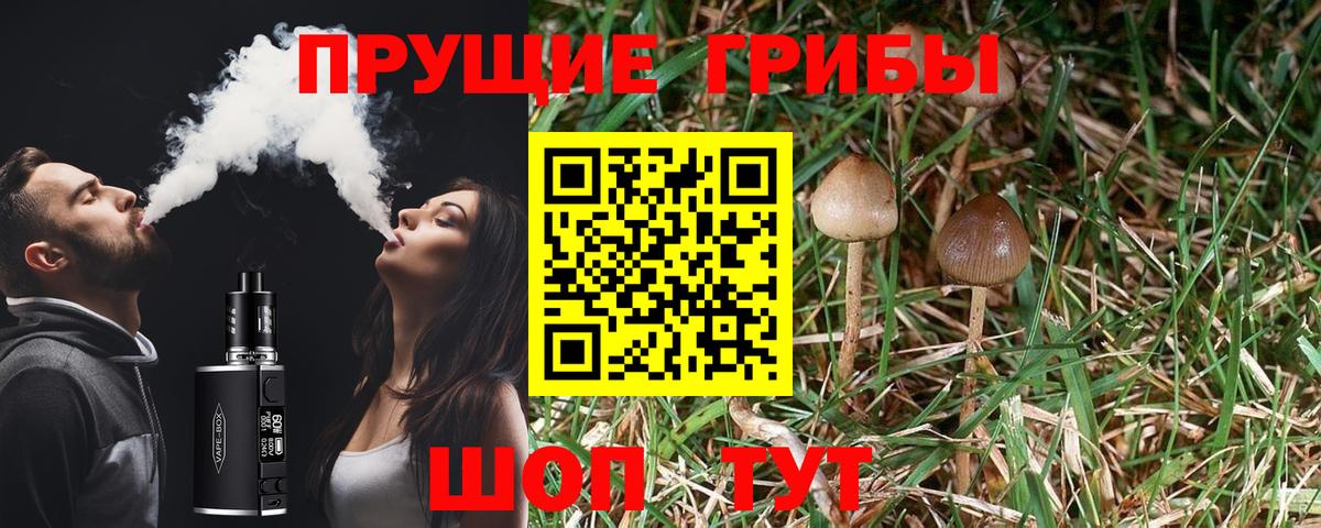 Псилоцибиновые грибы GOLDEN TEACHER  Вход с VPN  Октябрьский  Галлюциногенные грибы Magic Shrooms 